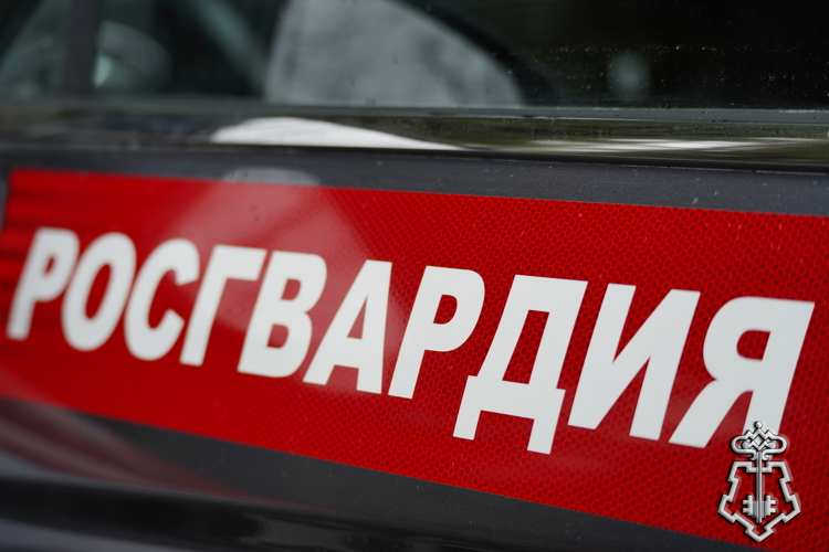 В Череповце сотрудники Росгвардии задержали мужчину и женщину, устроивших скандал в увеселительном заведении