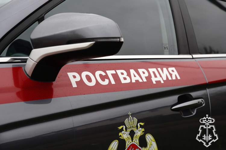 19 ПРАВОНАРУШЕНИЙ ПРЕСЕКЛИ НА ТЕРРИТОРИИ ВОЛОГОДСКОЙ ОБЛАСТИ СОТРУДНИКИ ВНЕВЕДОМСТВЕННОЙ ОХРАНЫ РОСГВАРДИИ ЗА МИНУВШУЮ НЕДЕЛЮ