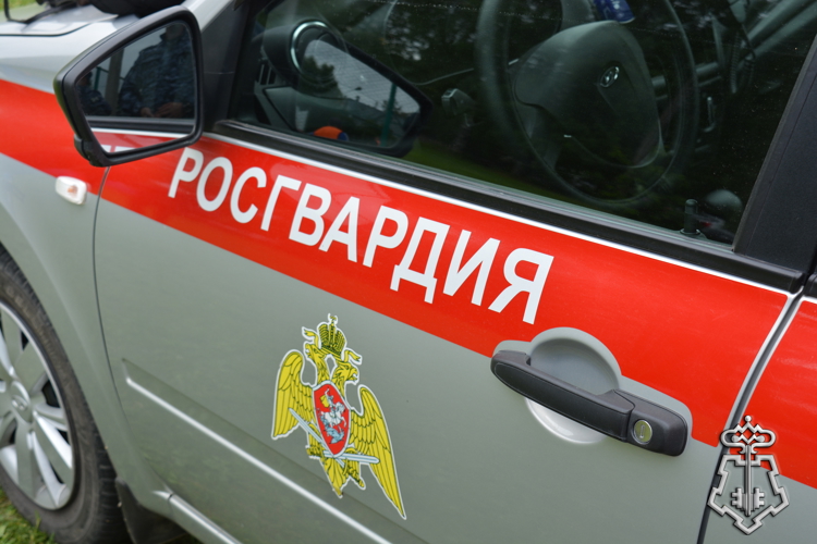 21 правонарушение пресекли на территории Вологодской области сотрудники вневедомственной охраны Росгвардии за минувшую неделю