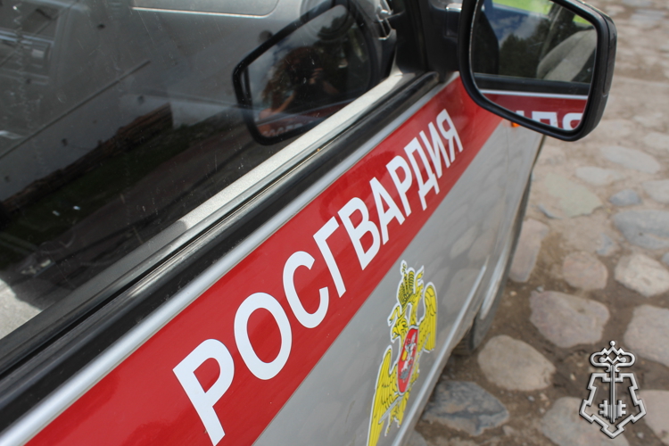 Сотрудники Росгвардии задержали череповчанина, отказывавшегося оплачивать счет в баре и устроившего дебош