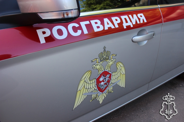  23 правонарушителей на территории Вологодской области задержали сотрудники вневедомственной охраны Росгвардии за минувшую неделю