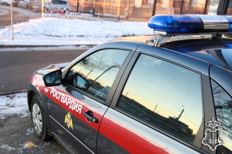 Двух нетрезвых дебоширов задержали сотрудники вневедомственной охраны Росгвардии в Вологодской области за минувшие дни