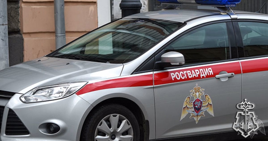 В Соколе сотрудники вневедомственной охраны пресекли опасную езду водителя «Газели»
