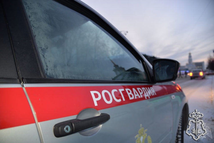 Росгвардейцы задержали двух череповчан, подозреваемых в хищении товара из супермаркета