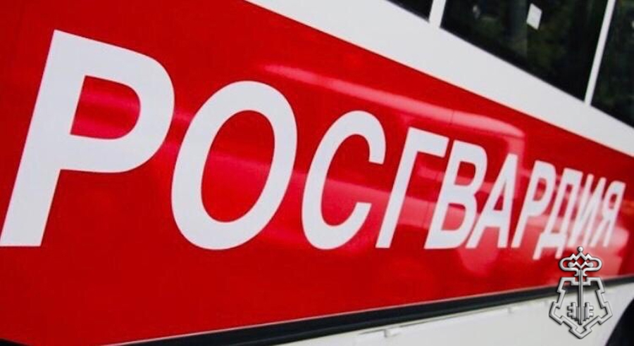 23 ПРАВОНАРУШИТЕЛЕЙ НА ТЕРРИТОРИИ ВОЛОГОДСКОЙ ОБЛАСТИ ЗАДЕРЖАЛИ СОТРУДНИКИ ВНЕВЕДОМСТВЕННОЙ ОХРАНЫ РОСГВАРДИИ ЗА МИНУВШУЮ НЕДЕЛЮ