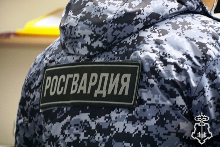 19 правонарушителей задержали сотрудники вневедомственной охраны Росгвардии за минувшую неделю на территории Вологодской области