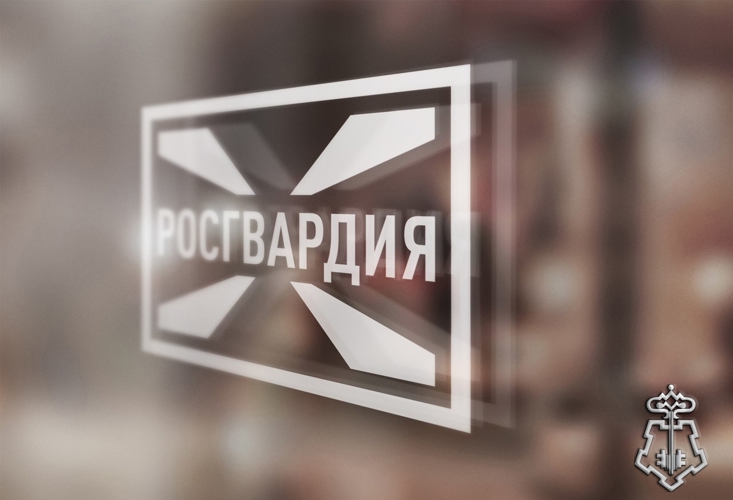 19 правонарушителей на территории Вологодской области задержали сотрудники вневедомственной охраны Росгвардии за минувшую неделю