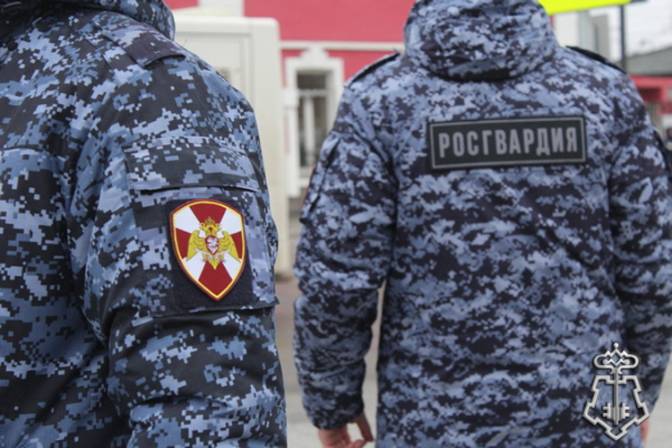 Сотрудники вневедомственной охраны Росгвардии в Вологодской области за новогодние праздники задержали 37 граждан