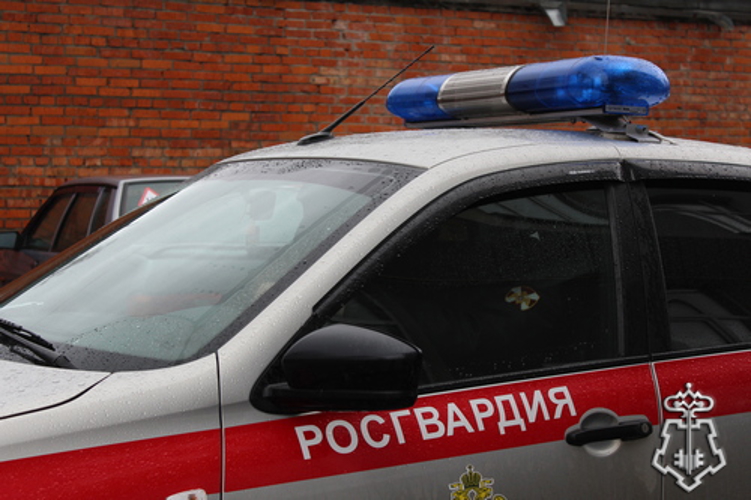 СОТРУДНИКИ ВНЕВЕДОМСТВЕННОЙ ОХРАНЫ РОСГВАРДИИ ЗАДЕРЖАЛИ ВОЛОГЖАНИНА, ПОДОЗРЕВАЕМОГО В ПРИЧИНЕНИИ ВРЕДА ЗДОРОВЬЮ