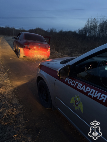 Сотрудники Росгвардии остановили сокольчанку, управлявшую автомобилем в нетрезвом состоянии