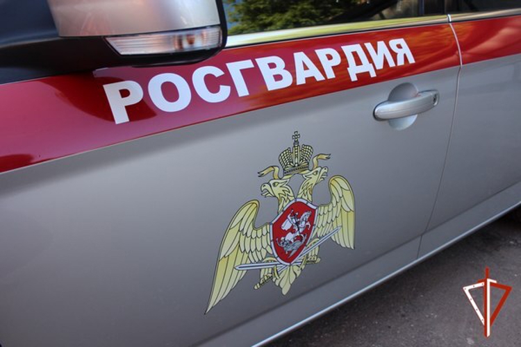 17 правонарушителей на территории Вологодской области задержали сотрудники вневедомственной охраны Росгвардии за минувшую неделю