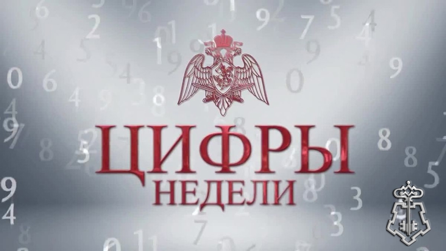 20 правонарушителей на территории Вологодской области задержали сотрудники вневедомственной охраны Росгвардии за минувшую неделю