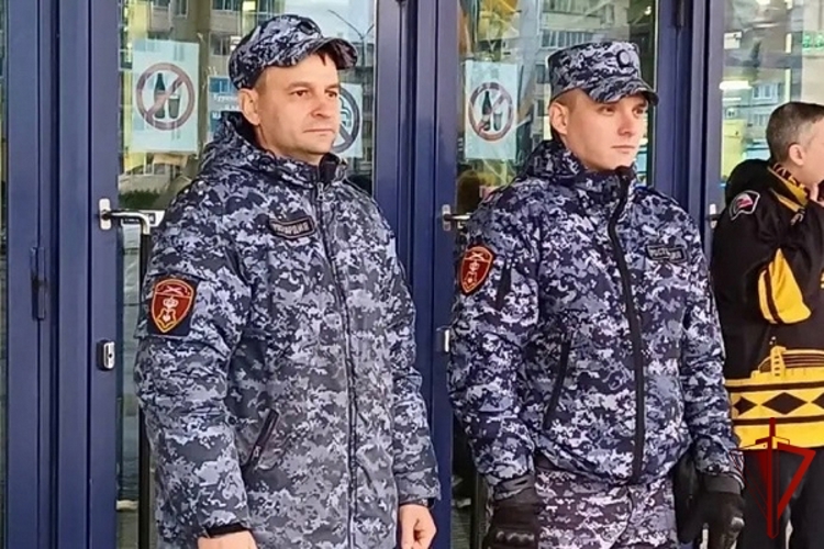 В Череповце сотрудники Росгвардии обеспечили безопасность хоккейного матча «Севесталь» - «Лада» (фото)